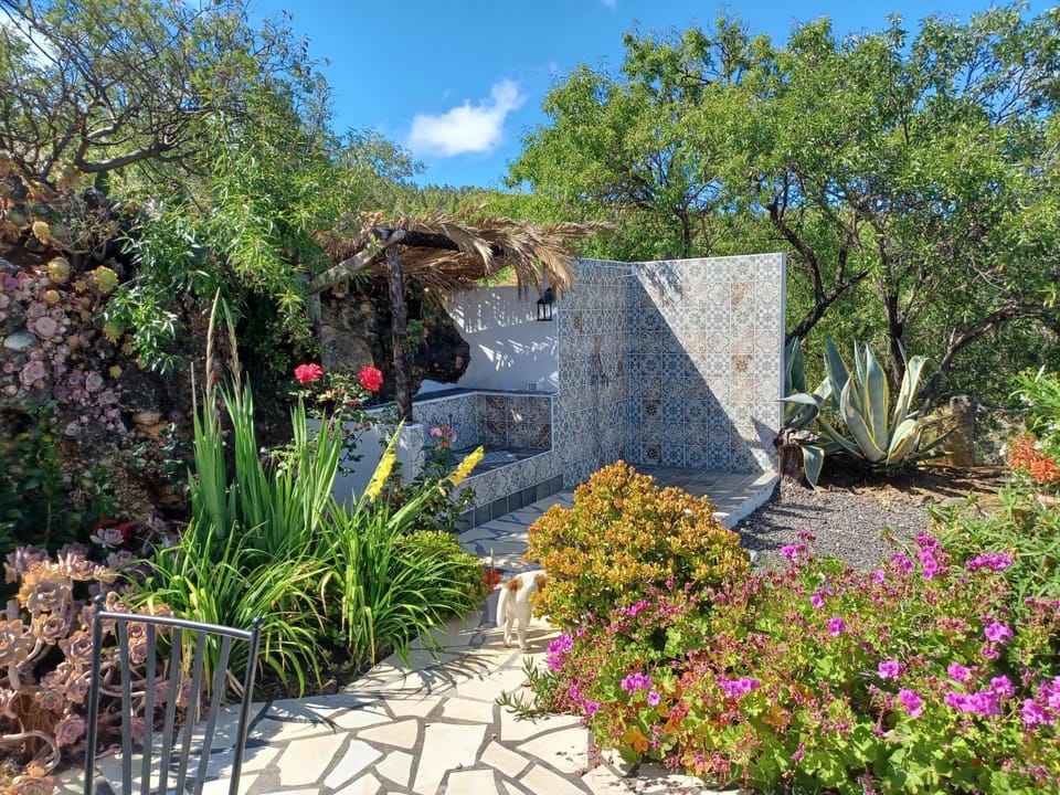 Alma House in La Palma