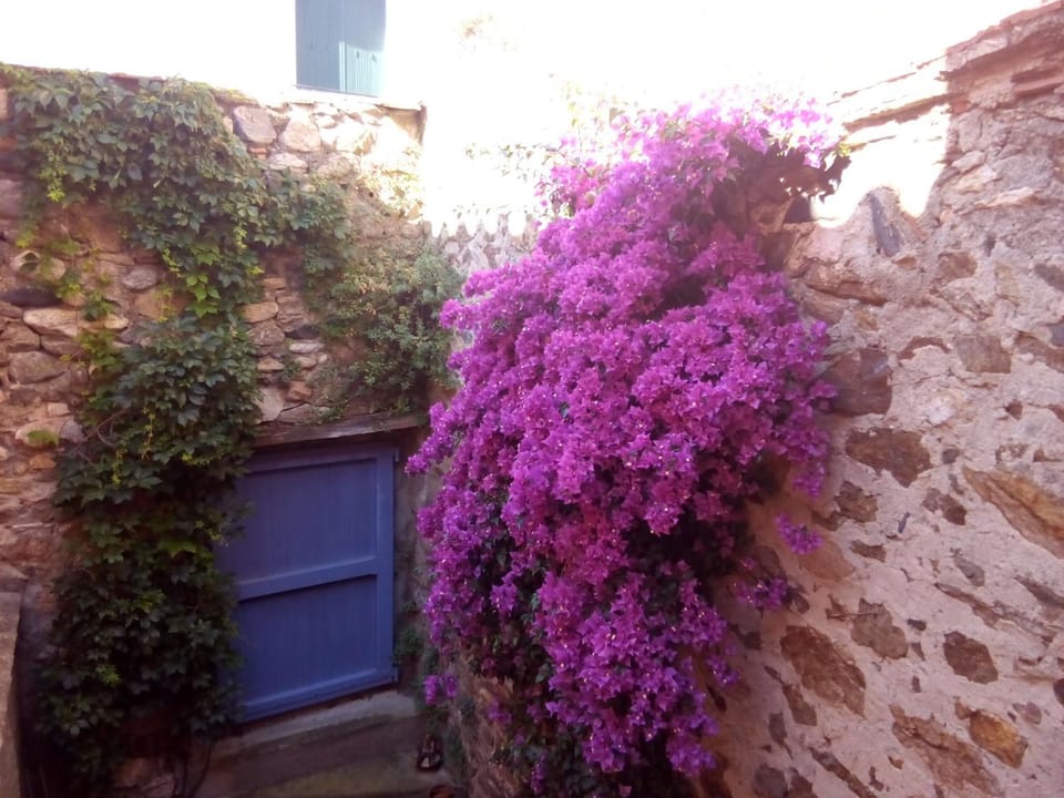 L'Art de Vivre Bed and Breakfast in Occitanie