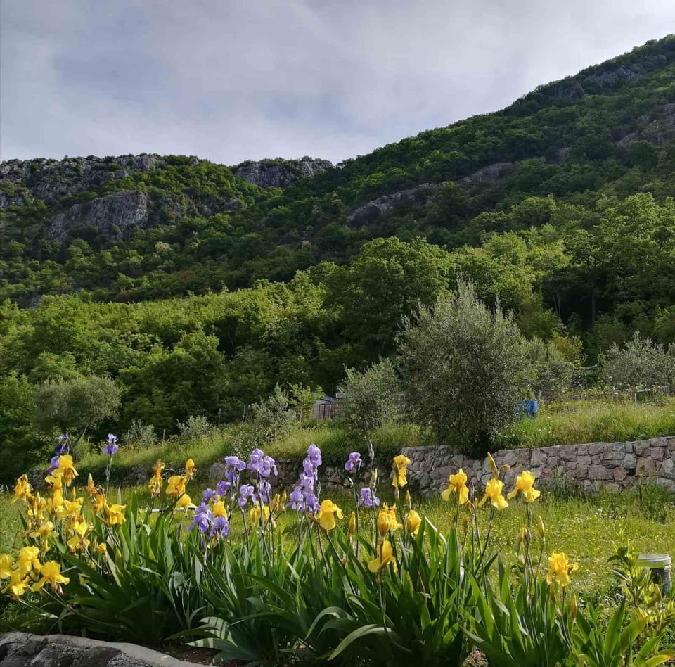Natural landscape, Hiking