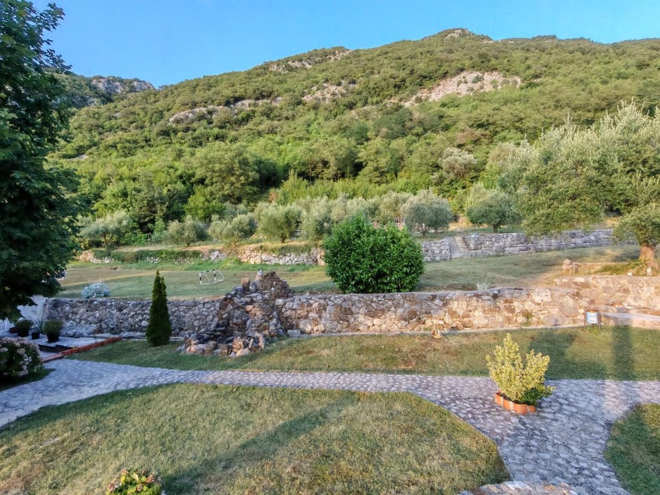 Forest Apartments Bed and Breakfast in Budva Municipality