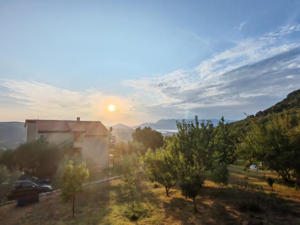 Forest Apartments Bed and Breakfast in Budva Municipality