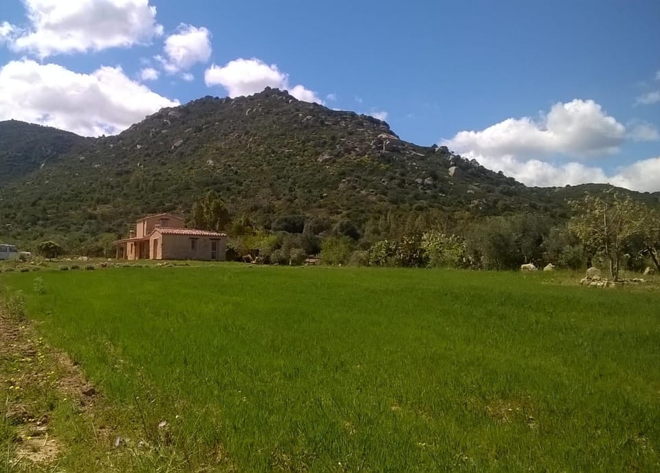 Mountain view