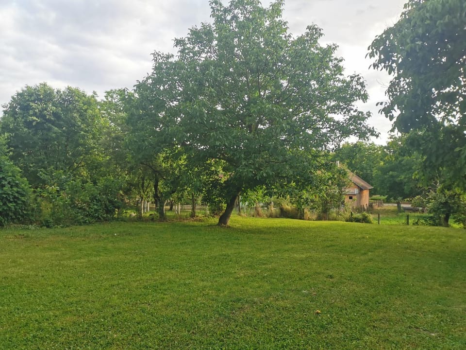 Spring, Garden, Garden view
