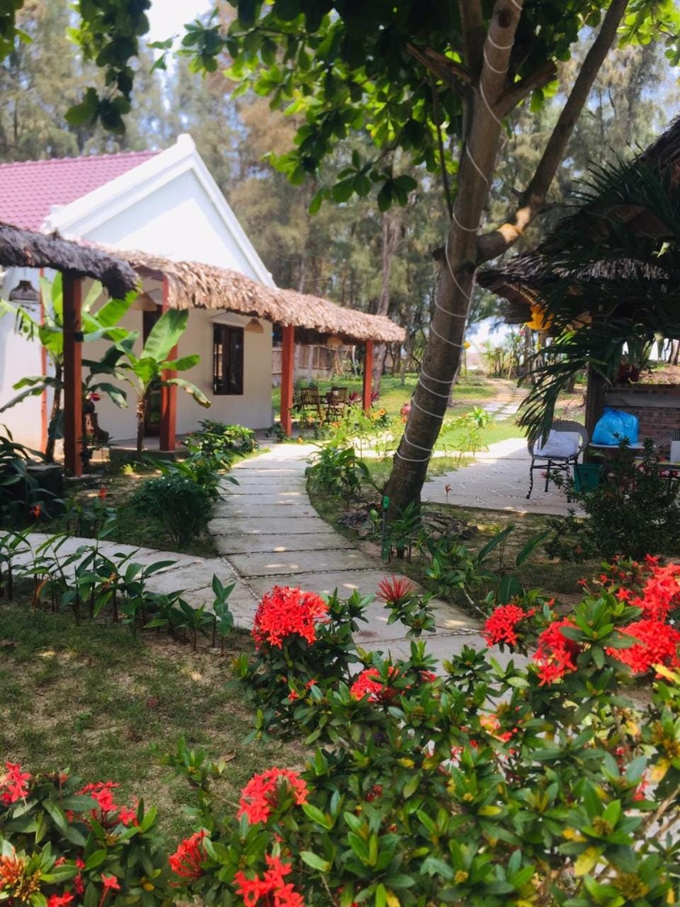 Hoi An Blue Seaside Homestay Bed and Breakfast in Hoi An