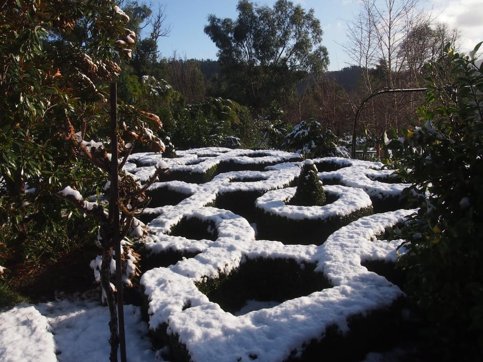 Winter