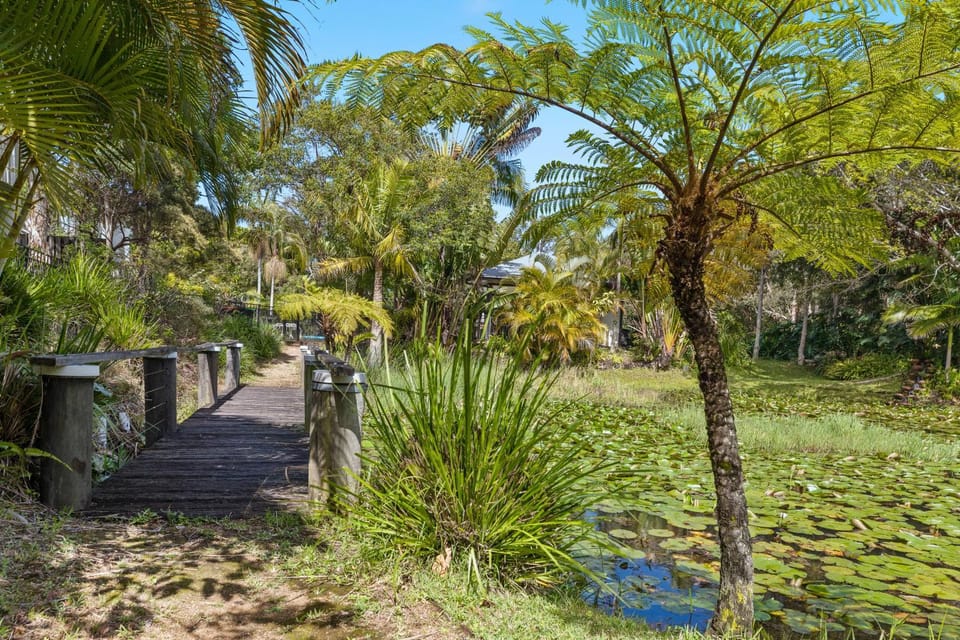 Natural landscape, Lake view