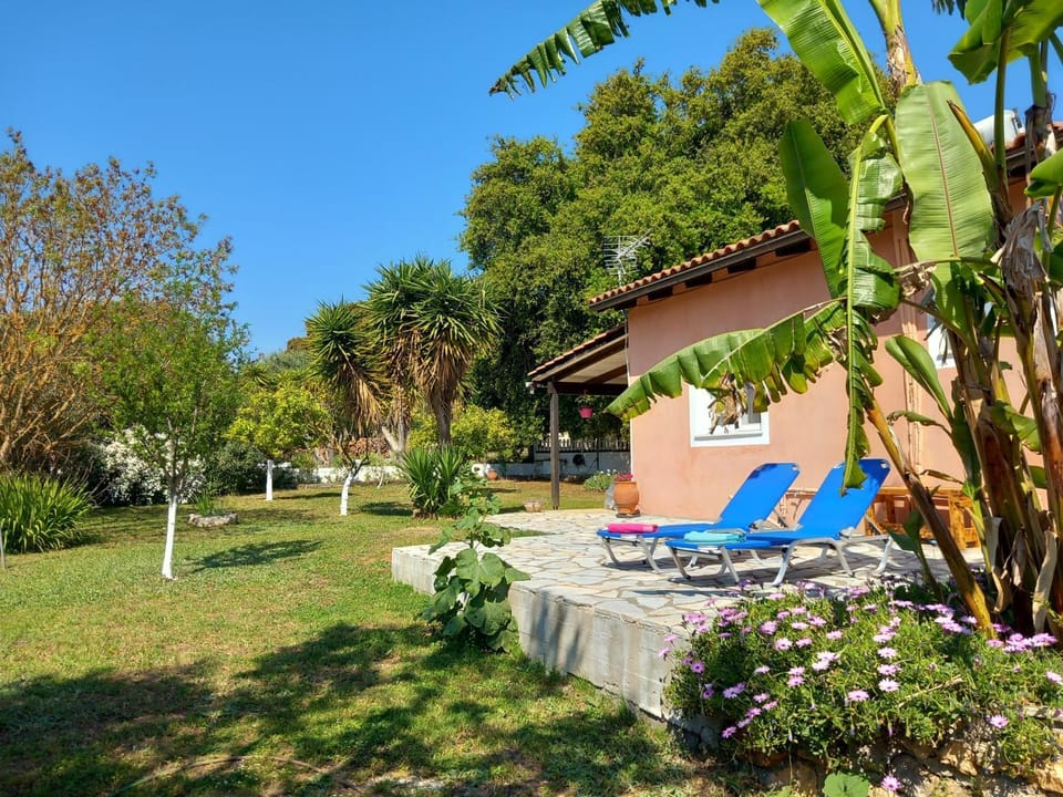 Property building, Garden, Garden view, sunbed
