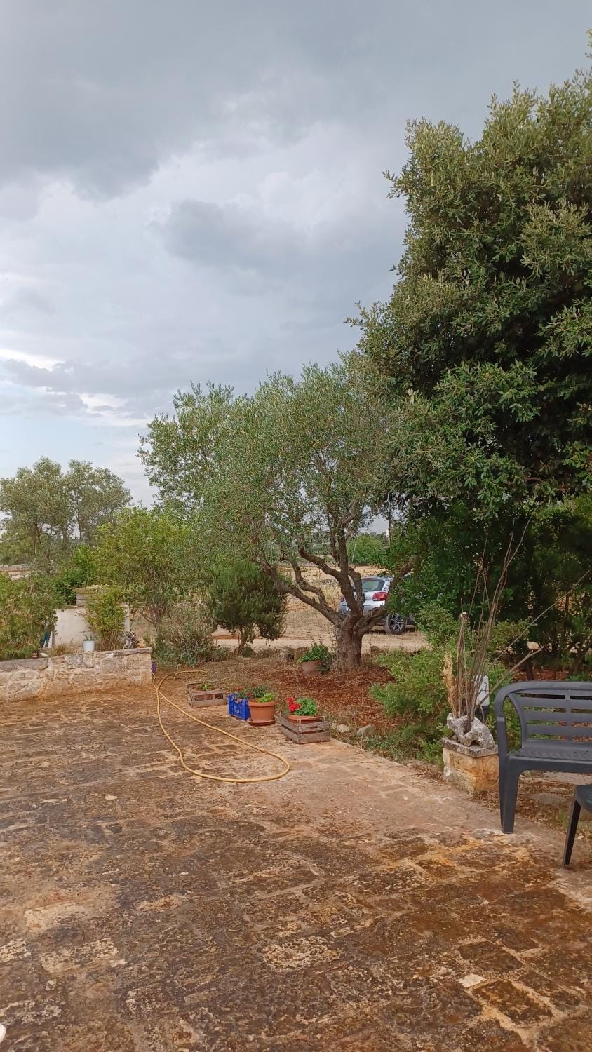 Garden view