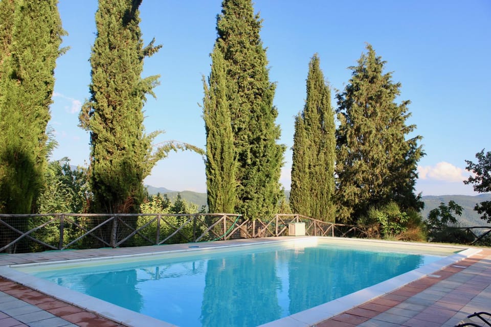 Day, Pool view, Swimming pool