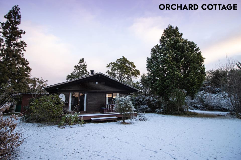 Property building, Winter