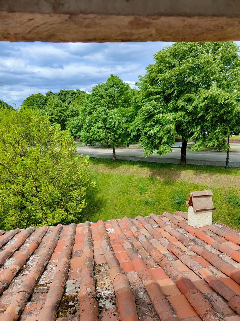 Spring, Day, Natural landscape, Garden view