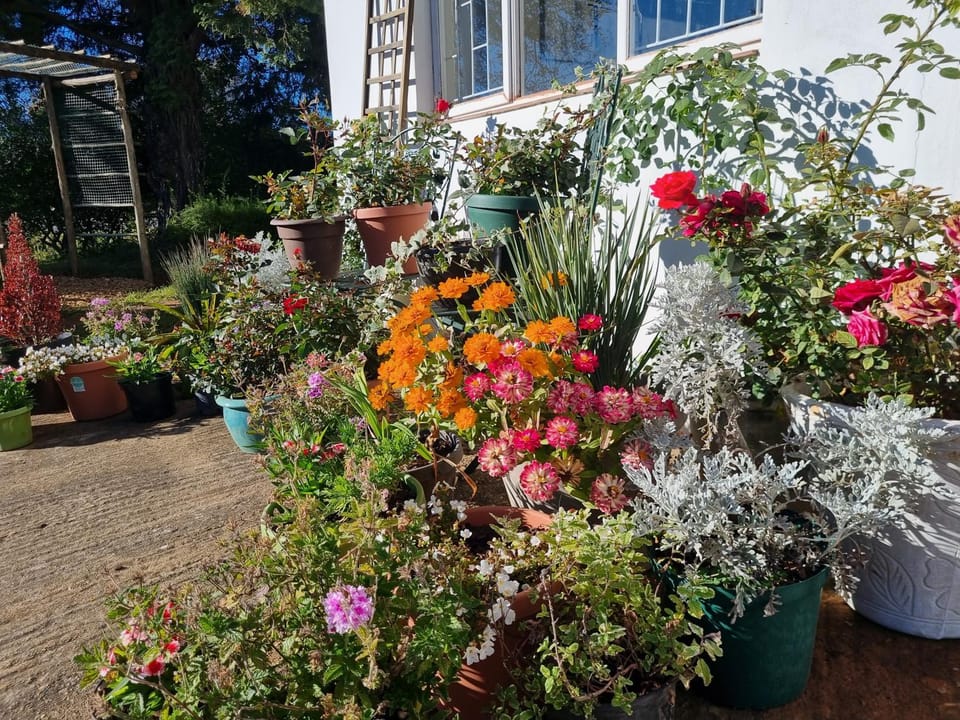 The Cottage on the Corner Bed and Breakfast in KwaZulu-Natal