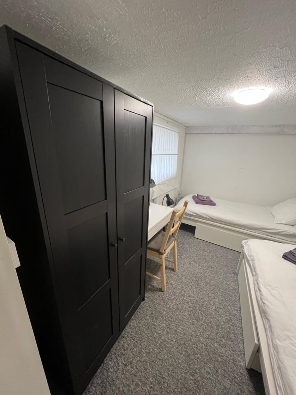 Tegfan -The Anglesey Townhouse Bed and Breakfast in Caernarfon