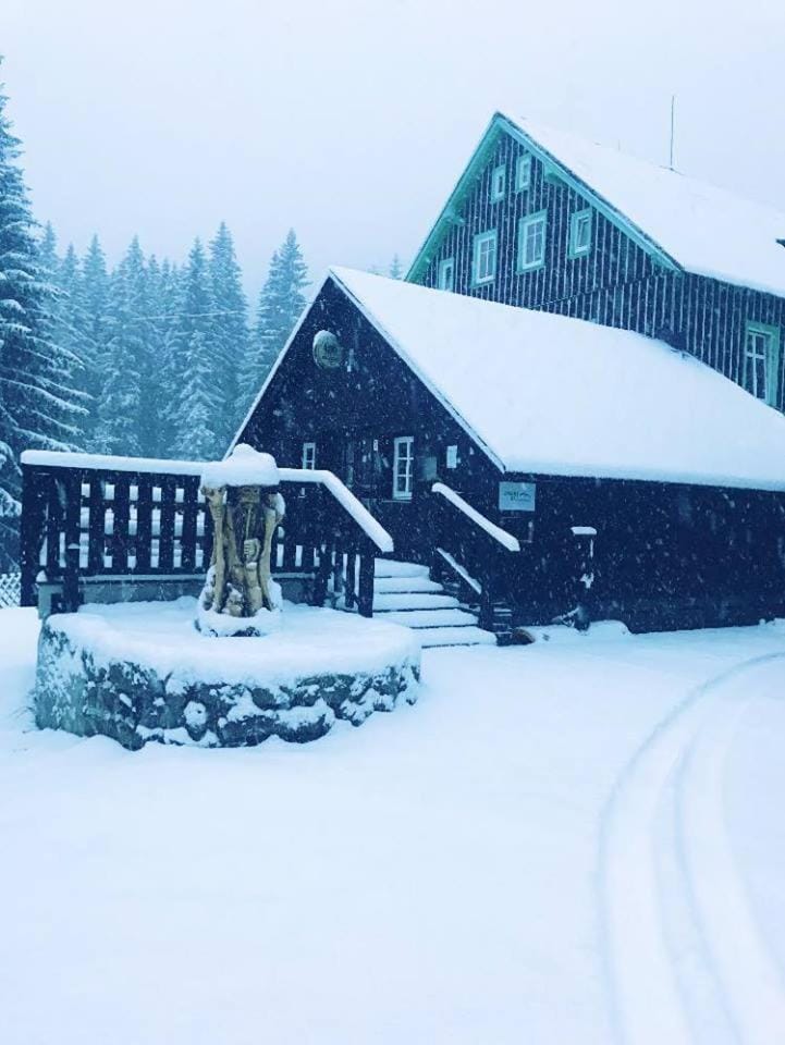 Property building, Winter