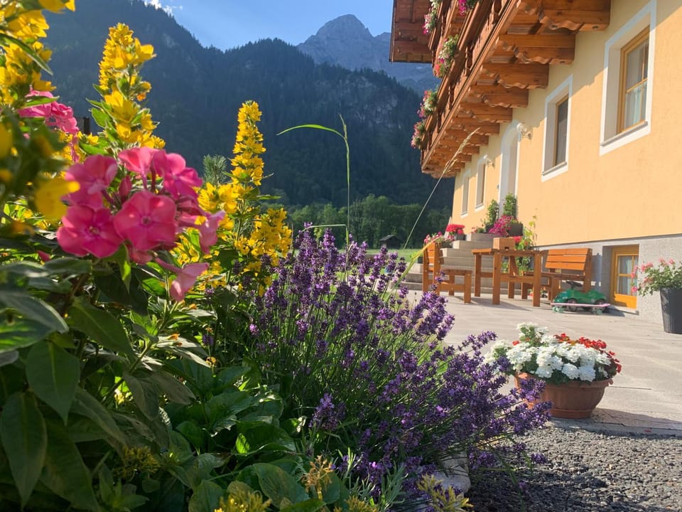 Garden, Garden, View (from property/room), Garden view