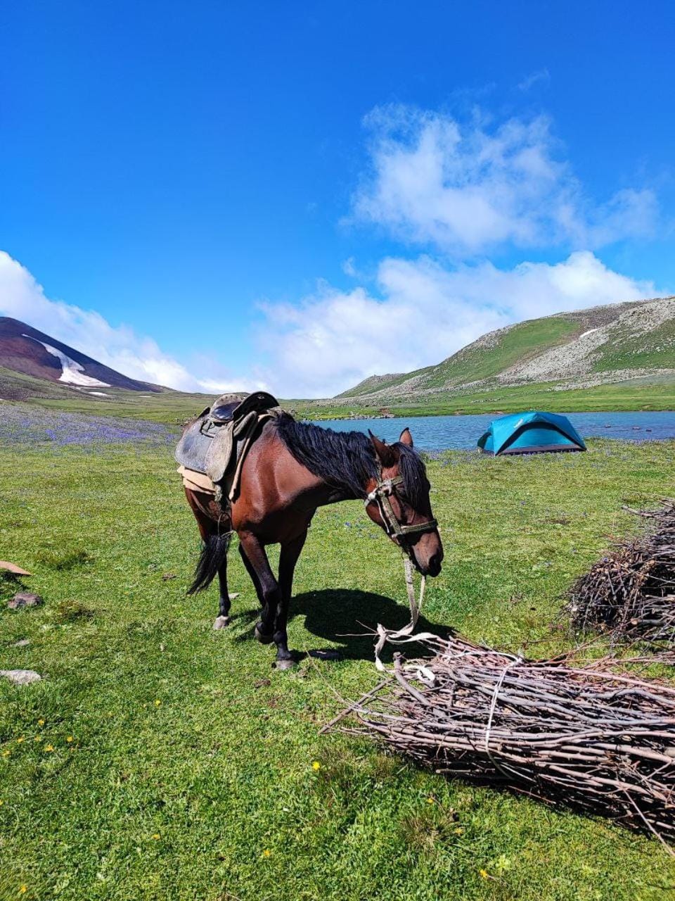 Highland Hostel Hostel in Yerevan