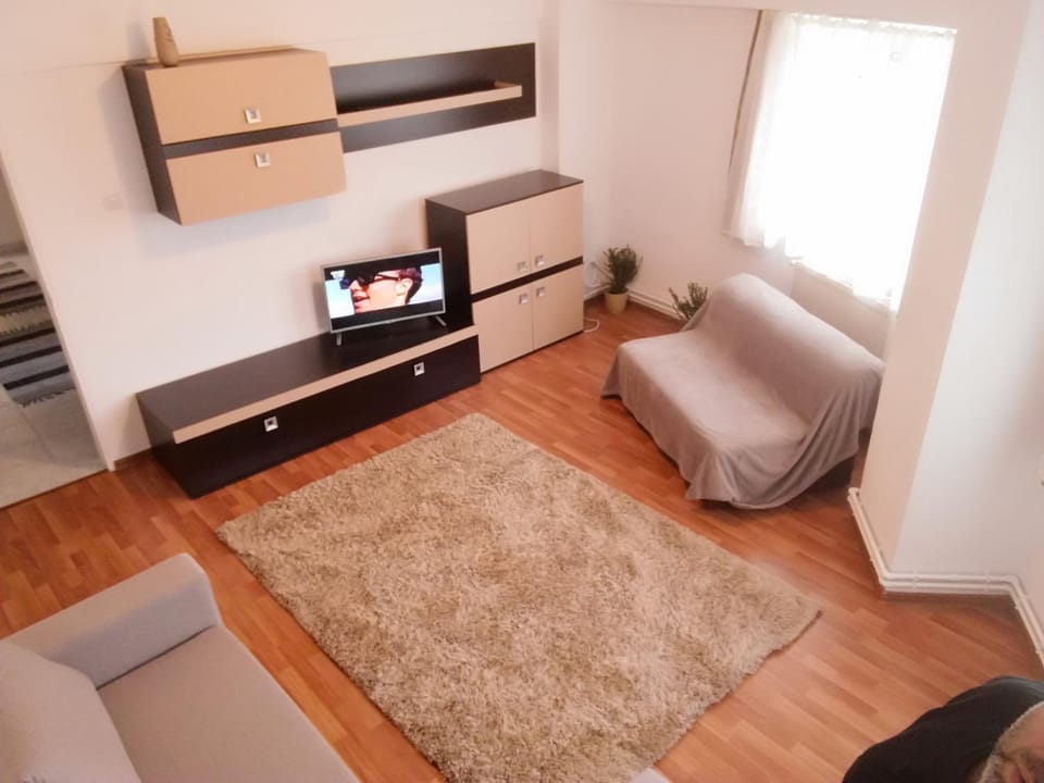 Central ParkView Apartment Apartment in Romania