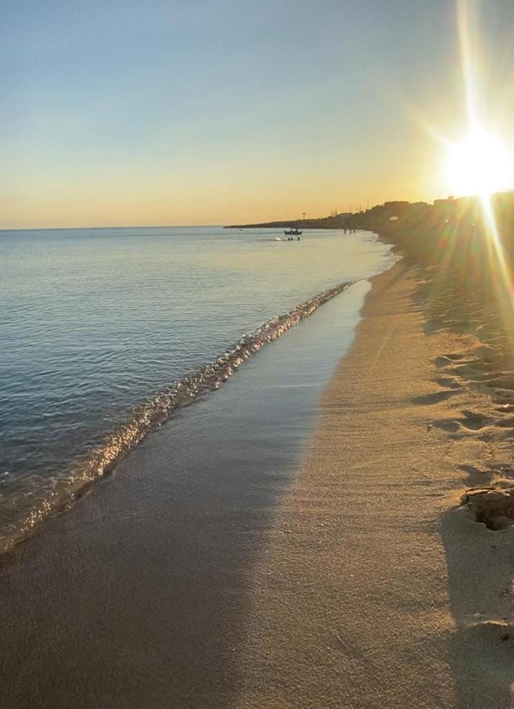 Nearby landmark, Beach, Sunset