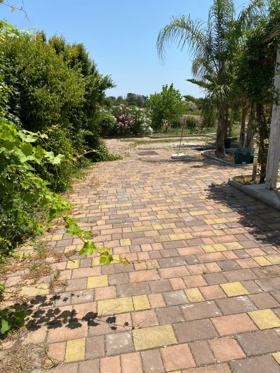 Garden, Garden view