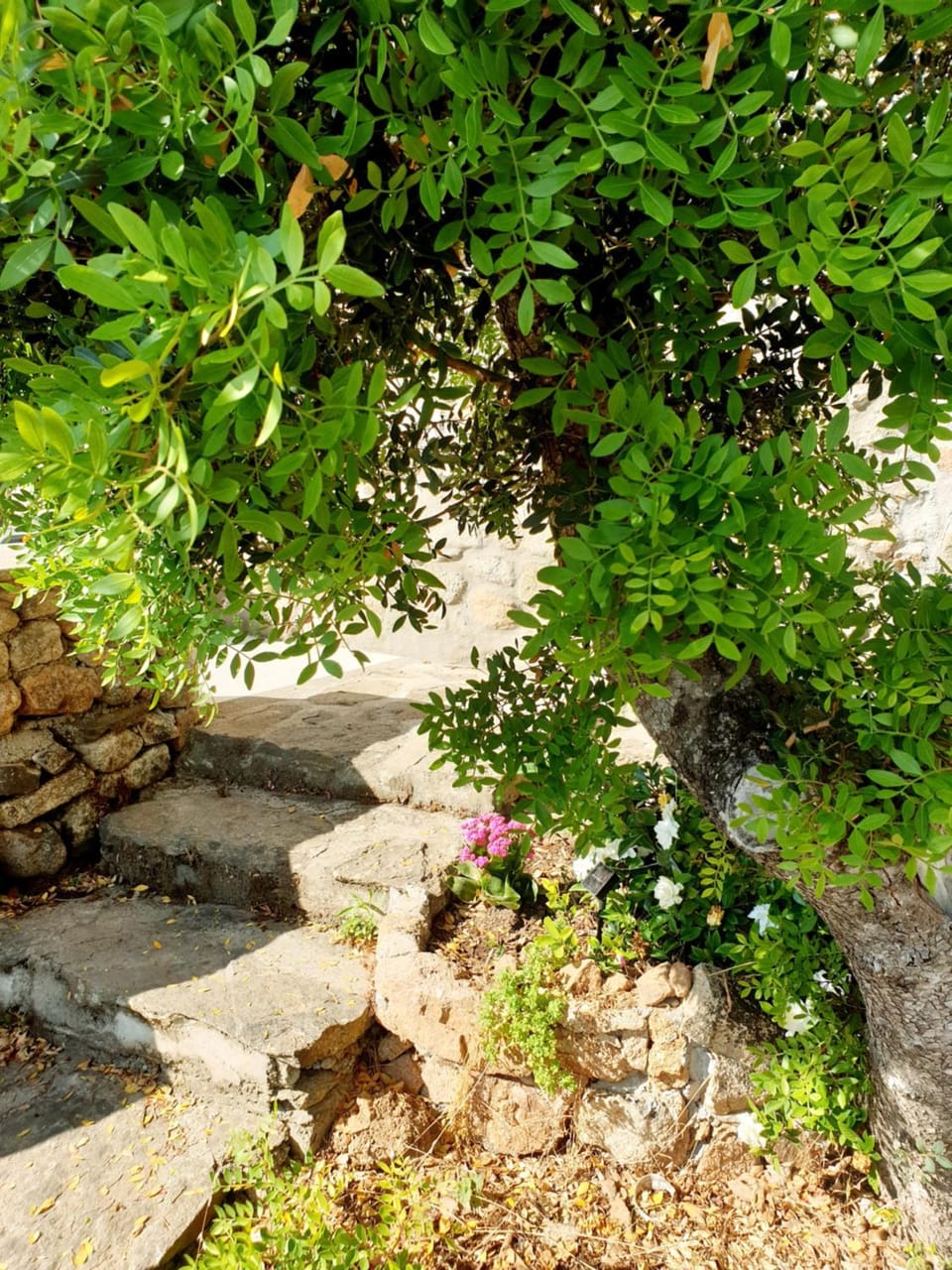 Appartamento Vasiliki House in Sardinia