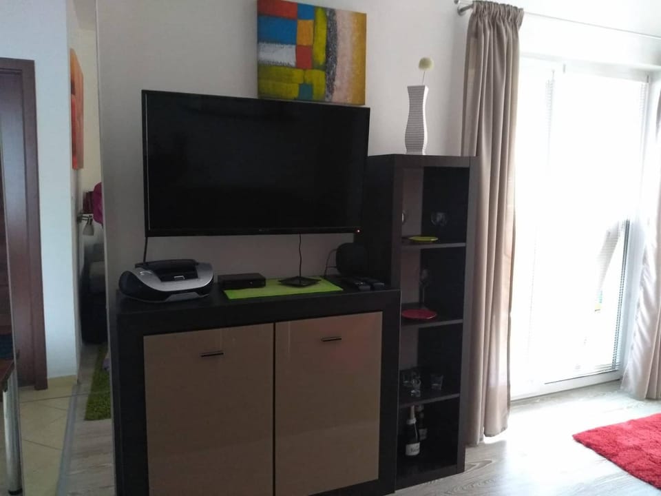 TV and multimedia