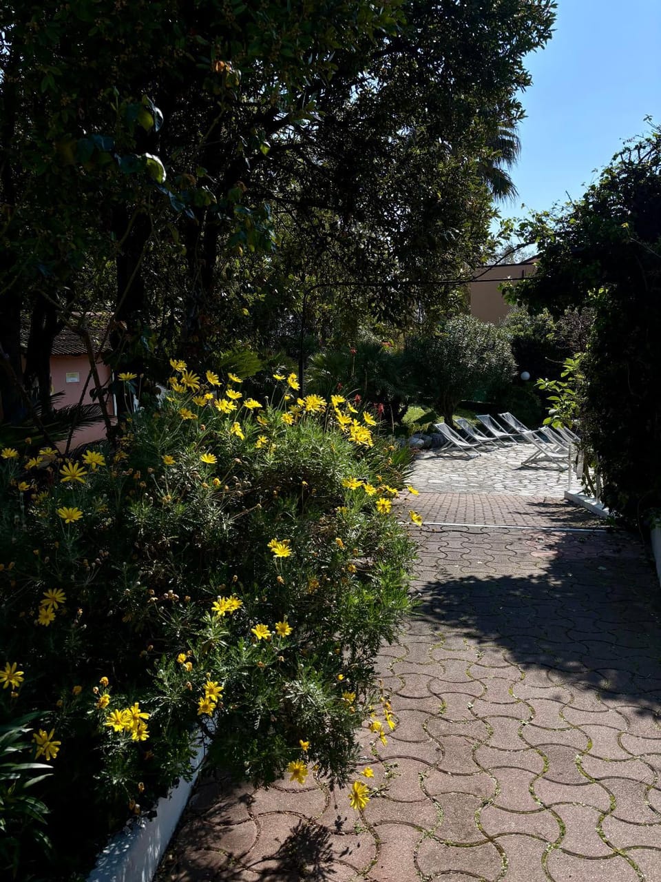 Spring, Day, Garden, Garden, Garden view