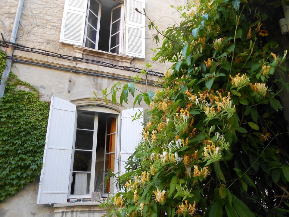 Property building, Facade/entrance, Spring, Garden, On site