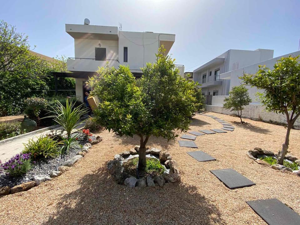 Property building, Garden view