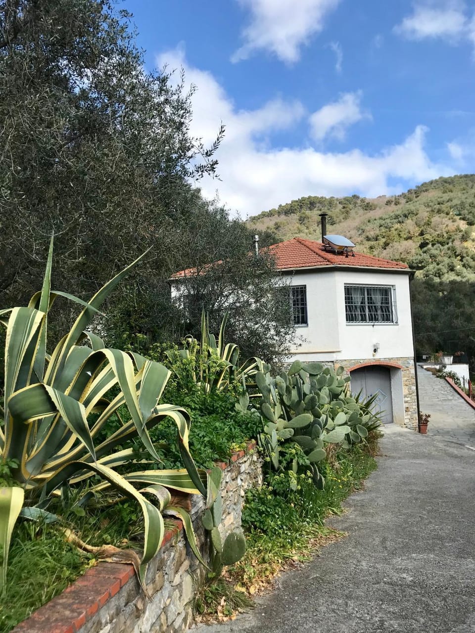 Property building, Garden