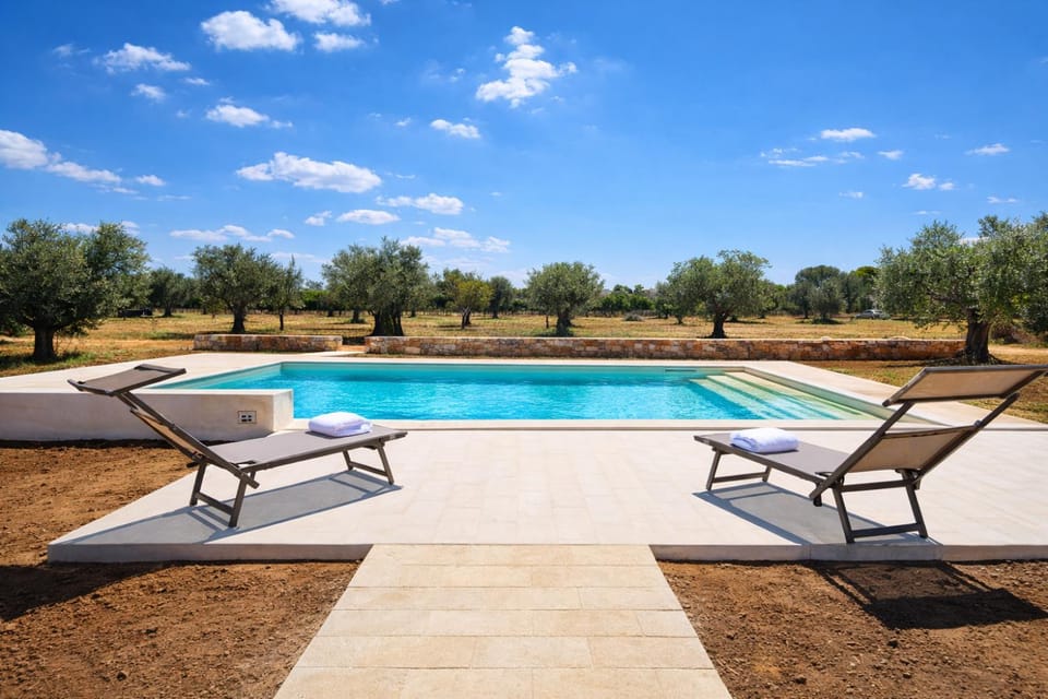 Day, Natural landscape, Garden, Garden view, Swimming pool, sunbed