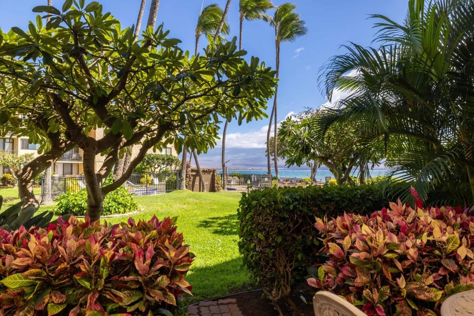 Kanai A Nalu Resort 106 Apartment in Maalaea