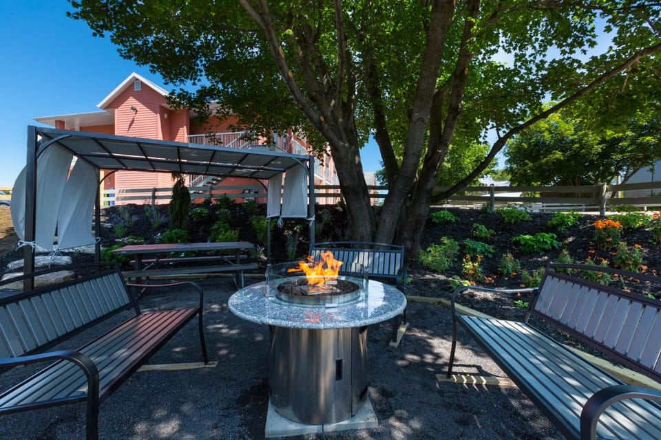 BBQ facilities, Garden