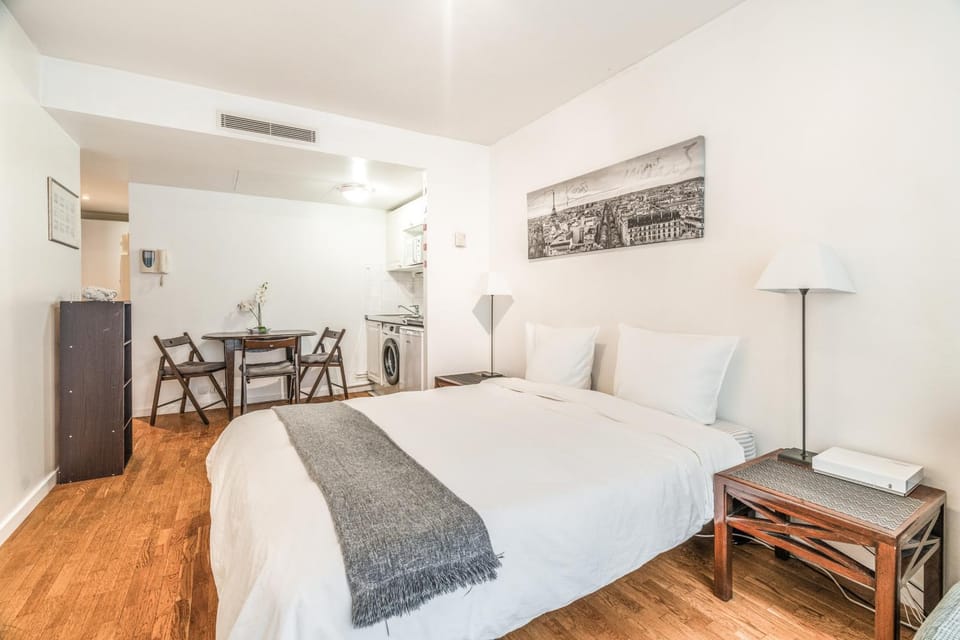 Champs Elysees Flat Apartment in Paris