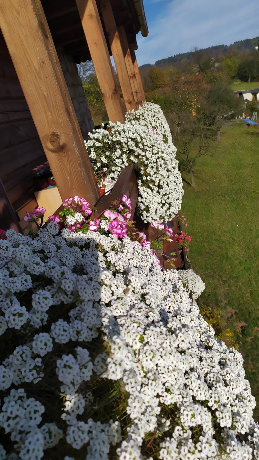 Roubenka Vacation rental in Lower Silesian Voivodeship