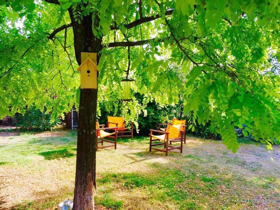 Garden, Garden view