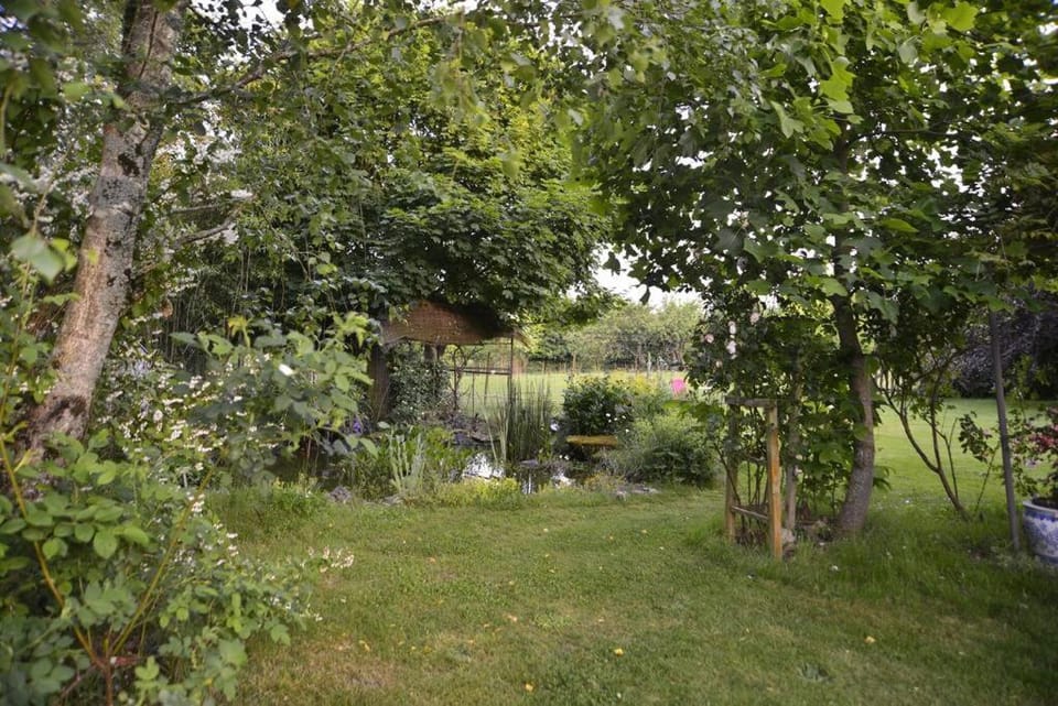 Natural landscape, Garden, Garden view