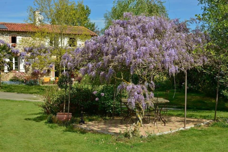 Garden, Garden view