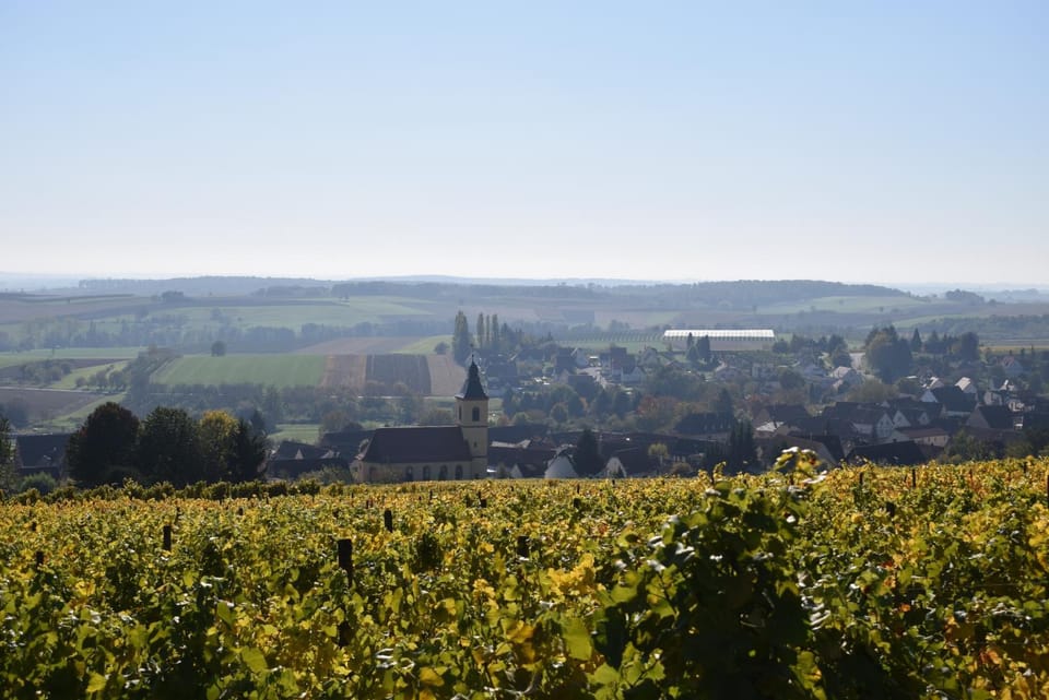Neighbourhood, Natural landscape