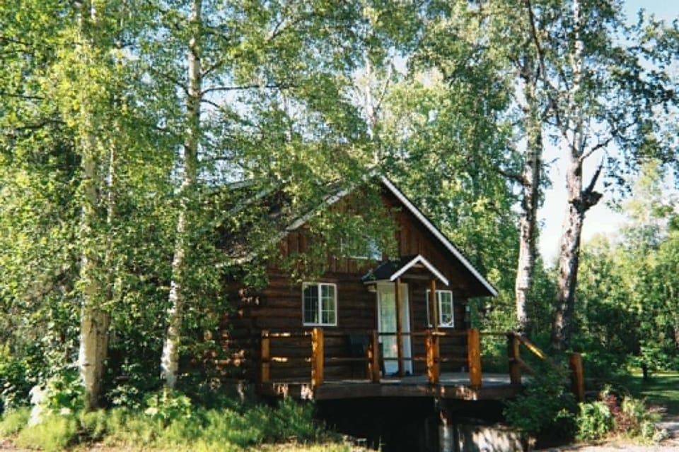 Denali Fireside Cabin & Suites Cabin in Talkeetna