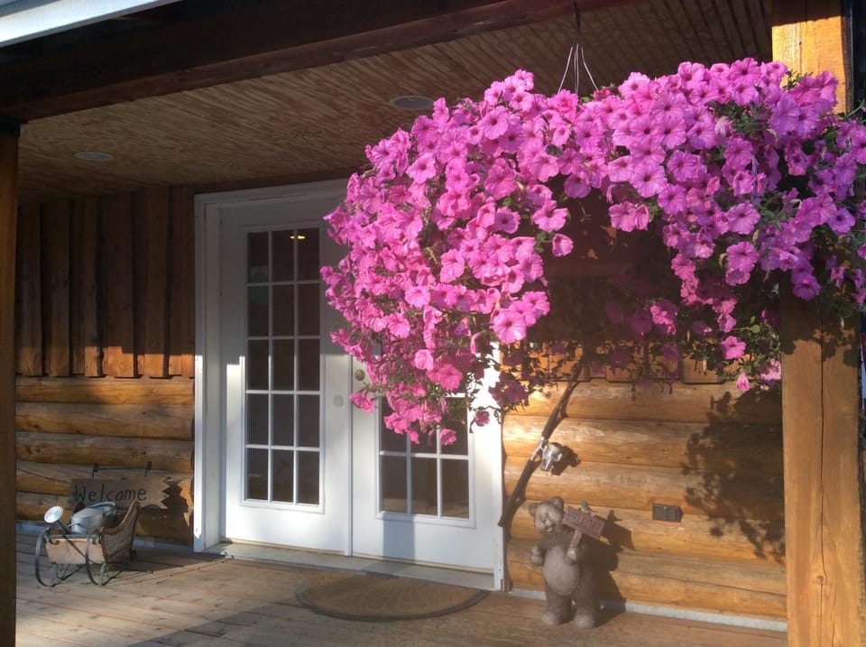 Denali Fireside Cabin & Suites Cabin in Talkeetna