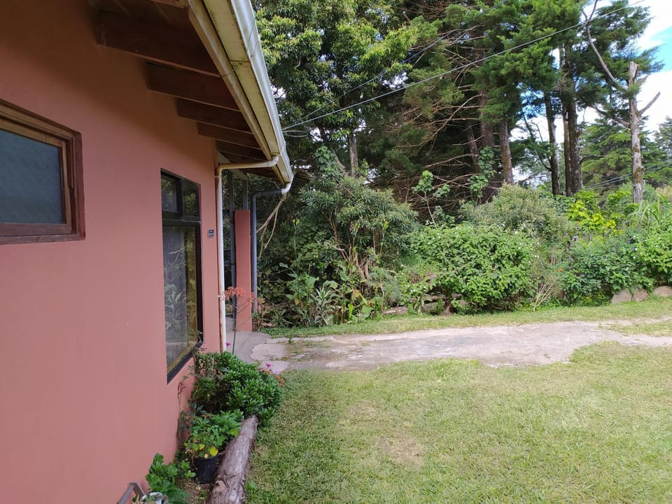Off site, Garden