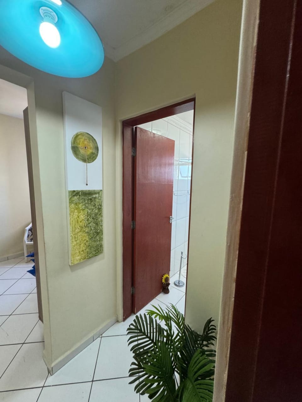 Apto Verde Água Apartment in State of São Paulo
