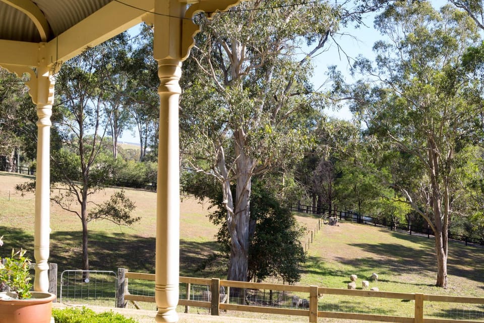 Garden view