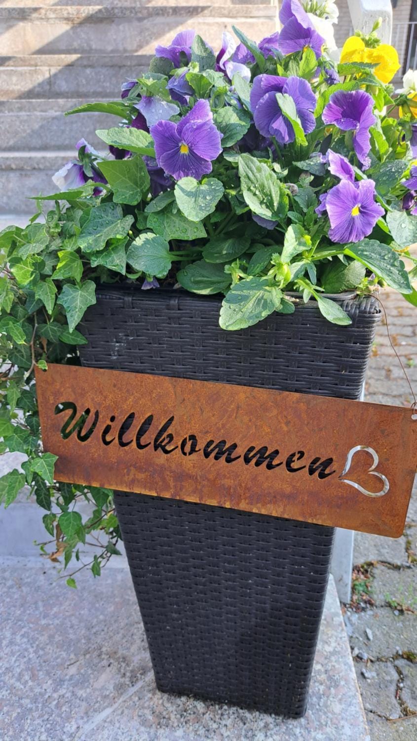 Ferienwohnungen Haus am Karpfenteich Apartment in Goslar
