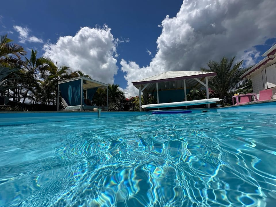 Patio, Swimming pool, sunbed