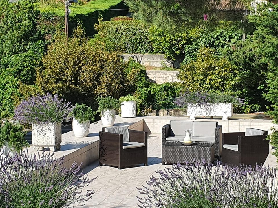 Balcony/Terrace, Garden view