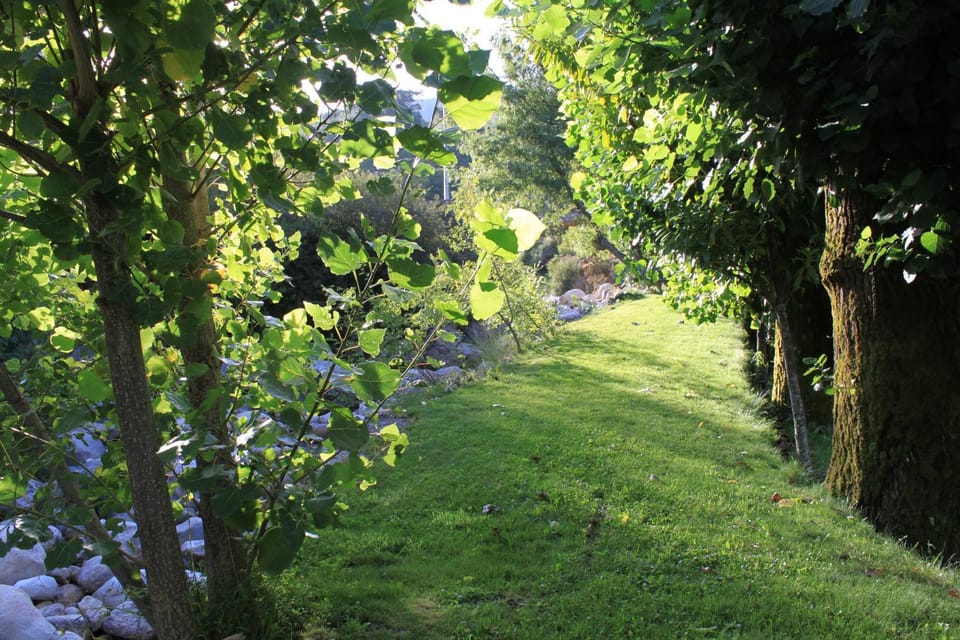 Garden, Other