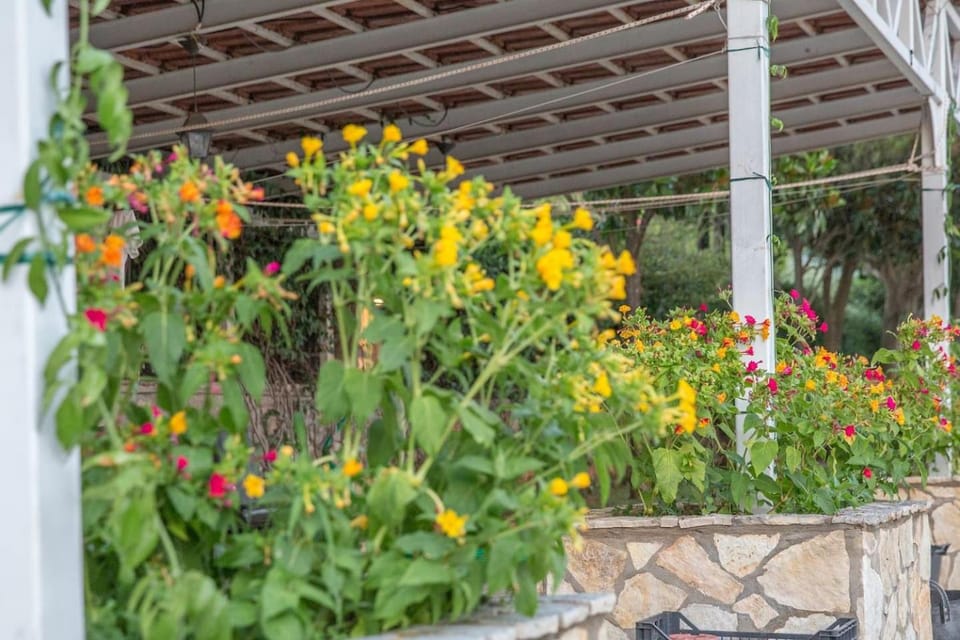 The Olive Grove KALAMATA - SP Villa in Messenia