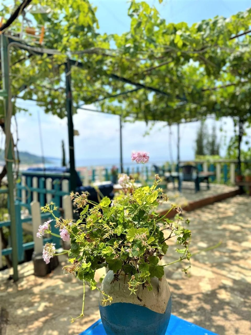 Natural landscape, Garden, Sea view