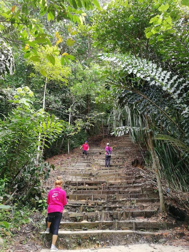 Hiking